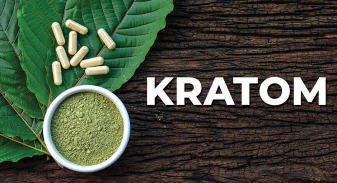 4 Key Herb Kratom Facts You Must Understand - Gizmo Story