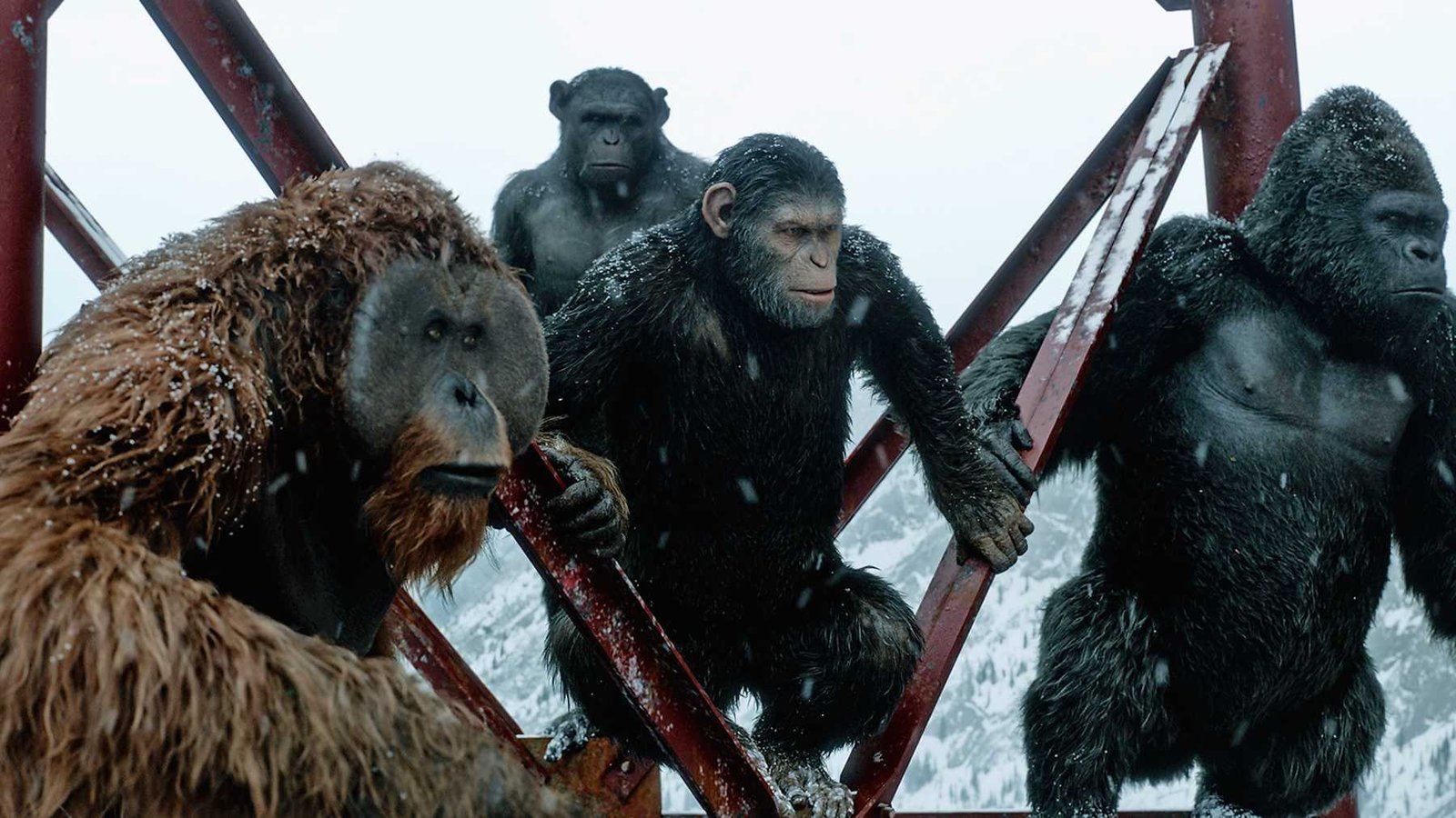 War for the Planet of the Apes Movie Scene
