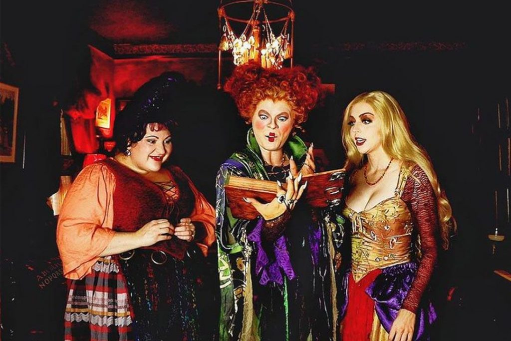 Роза hocus pocus фото и описание