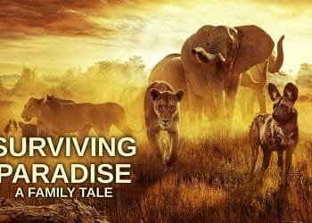 Surviving Paradise A Family Tale