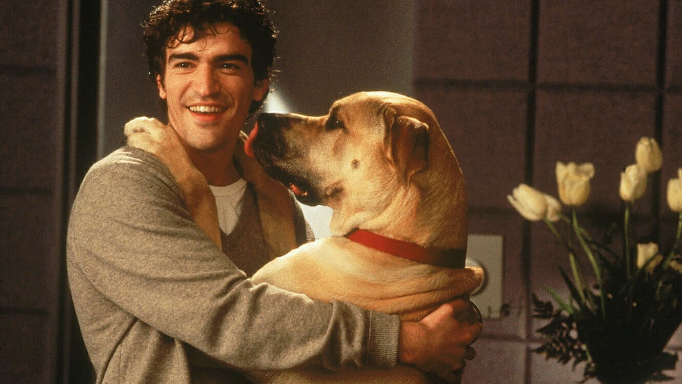 Romance Movies on Hulu: The Truth About Cats & Dogs