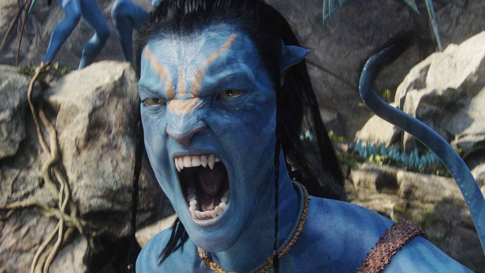 What Is The Expected Release Date Of Avatar 3, 4, And 5