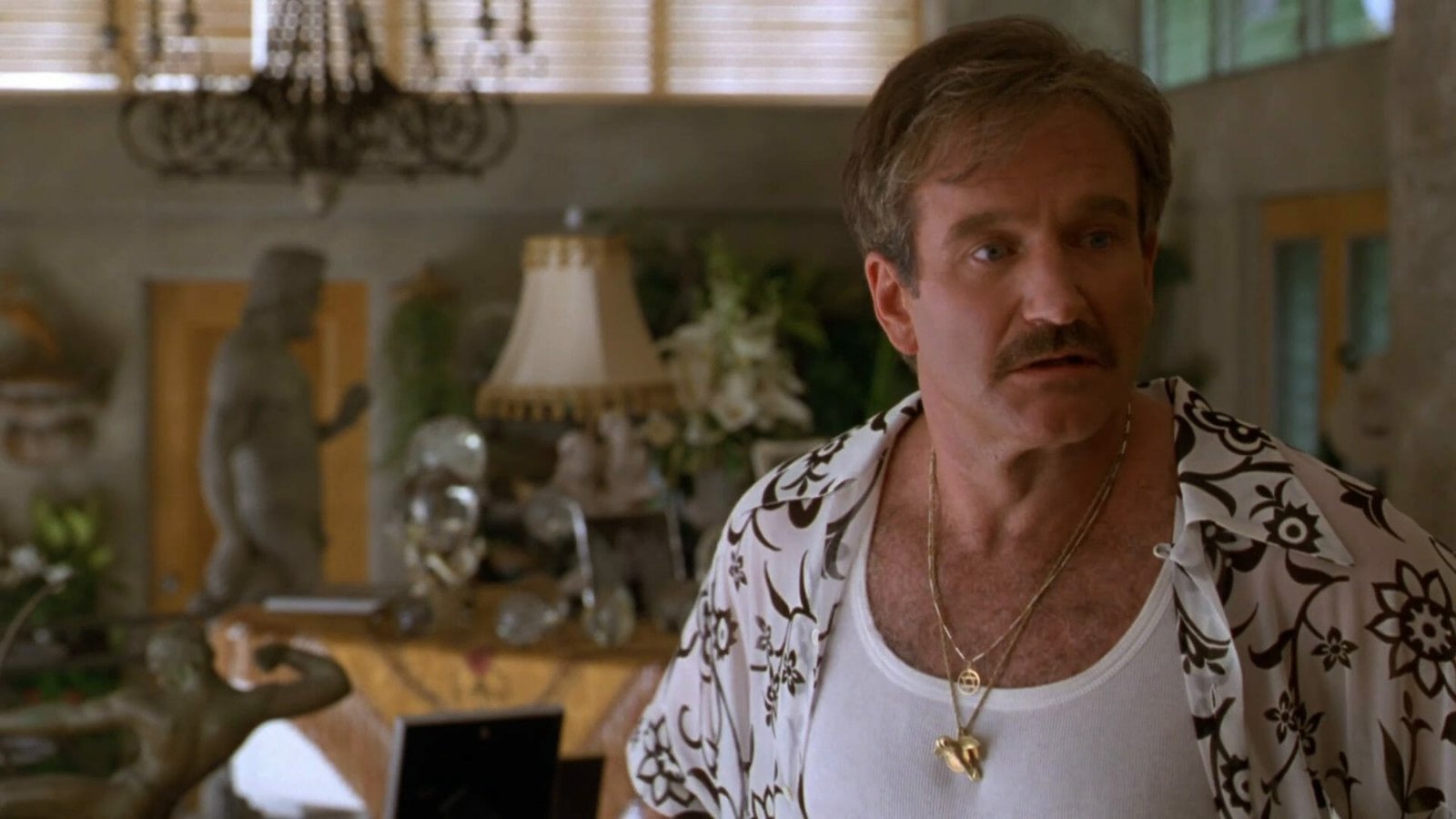 Robin Williams : The Birdcage