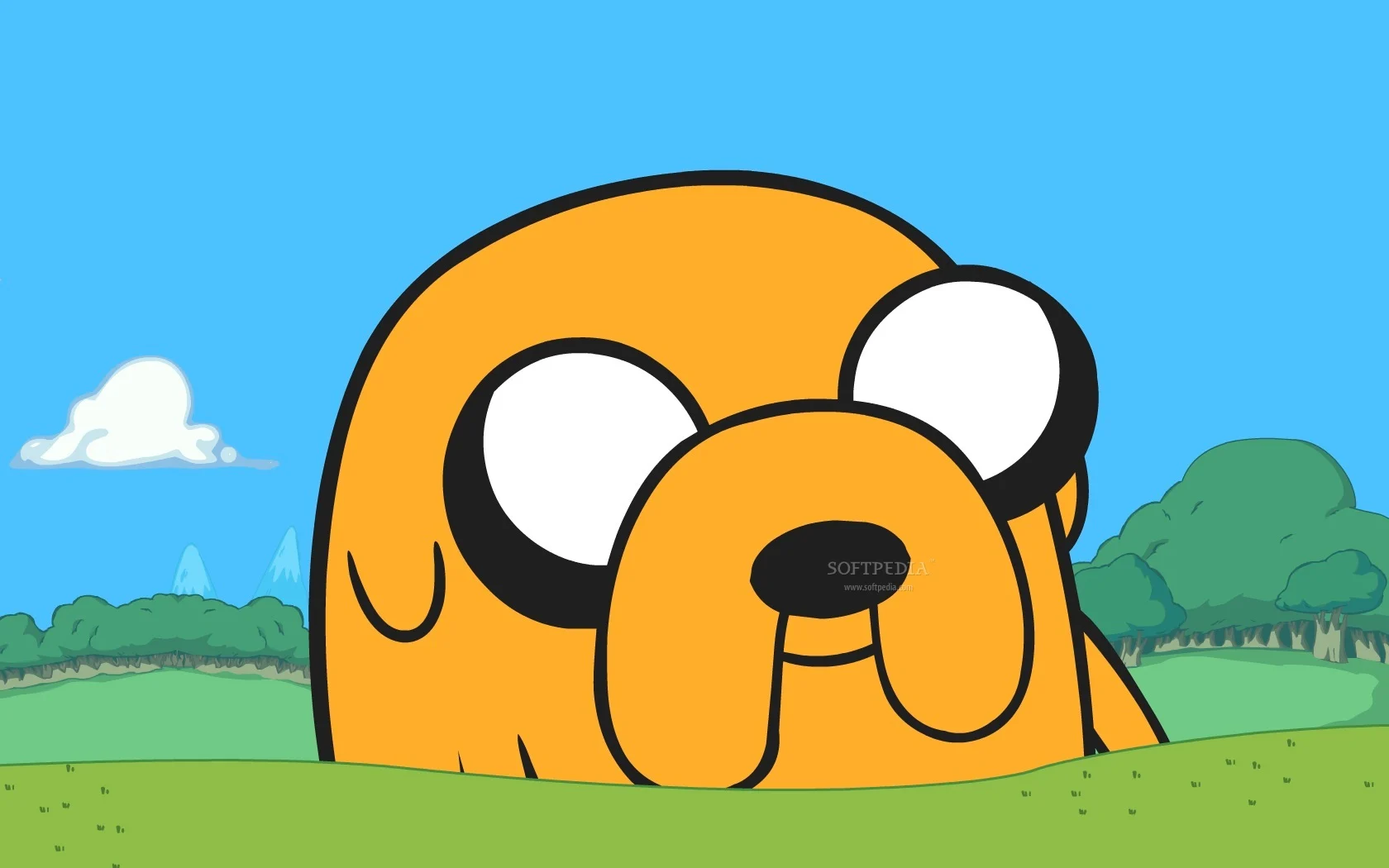 Famous cartoon dogs : Adventure Time