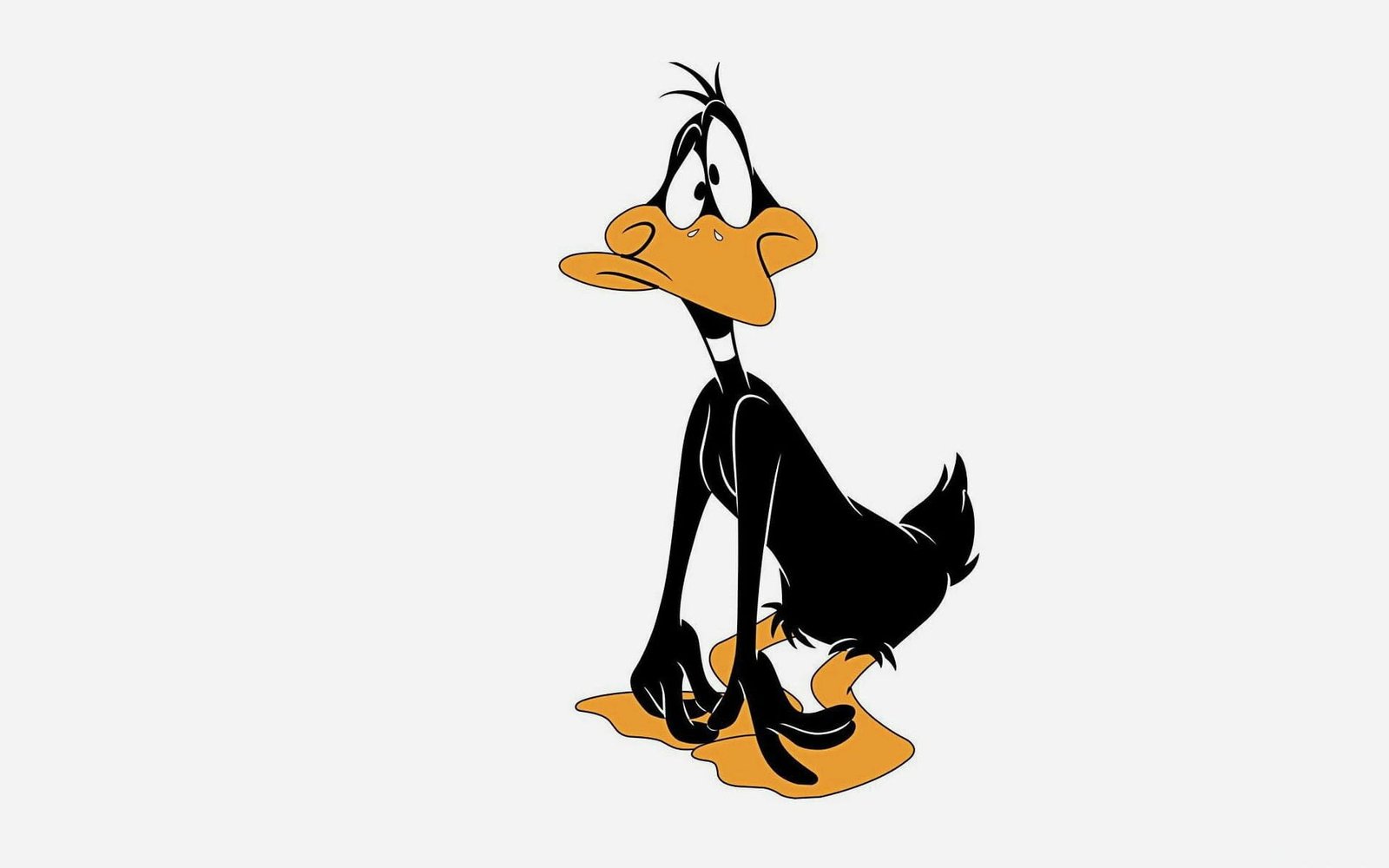 Looney tunes characters: Daffy Duck