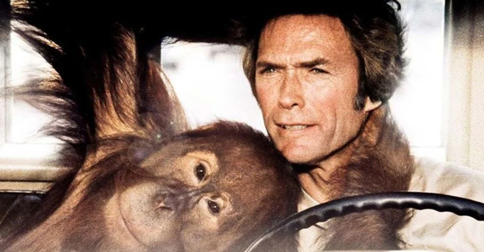 Best Clint Eastwood movies: Every which way but loose (1978)