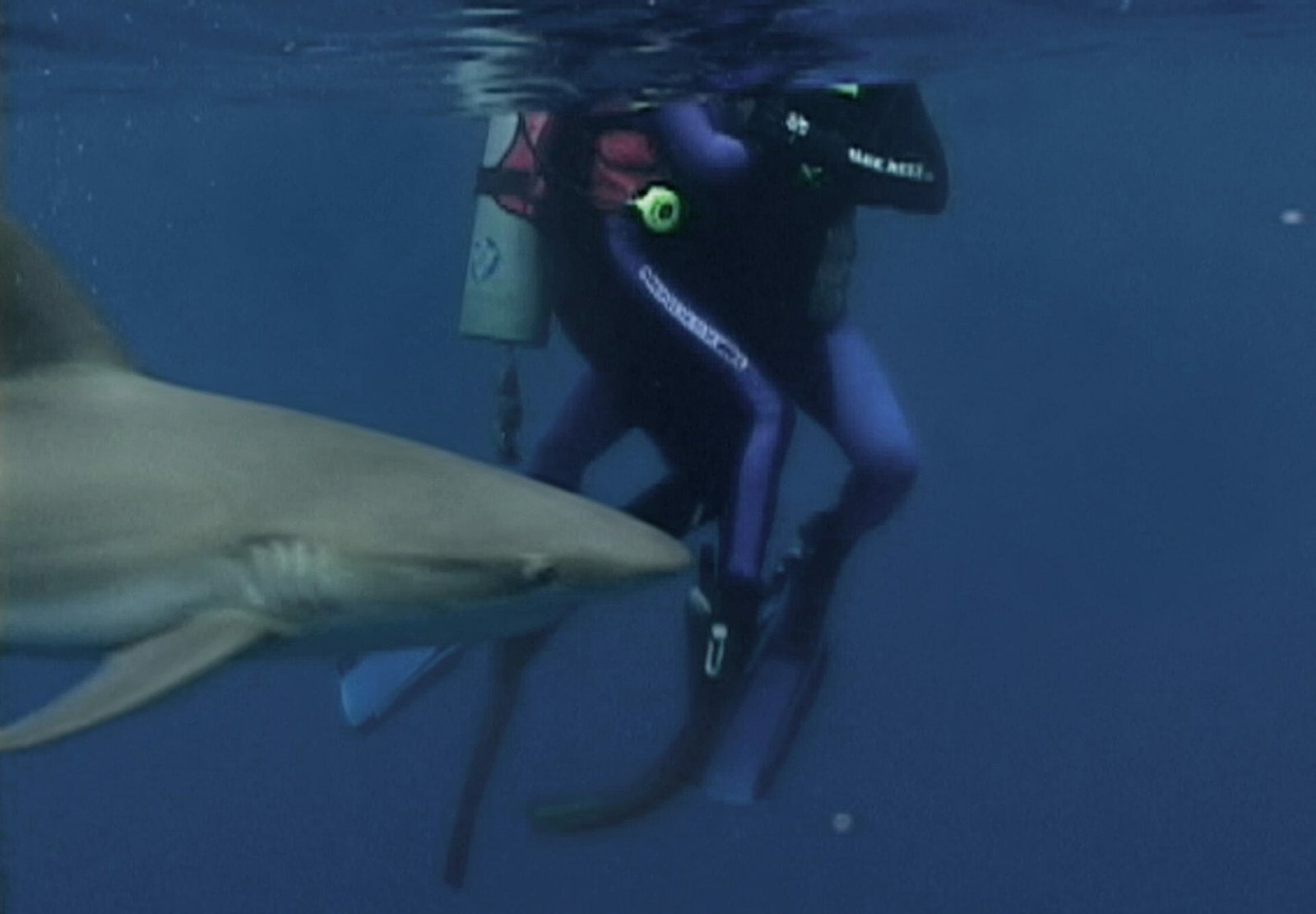 Best Shark Movies: Open water (2003)