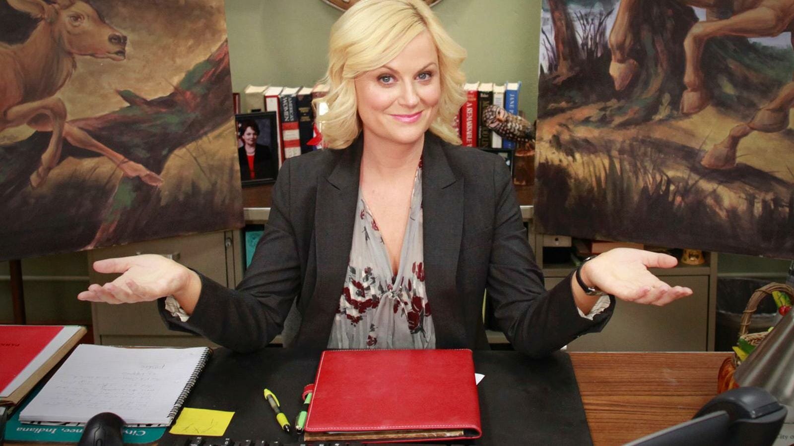 Sitcoms on amazon prime: Parks and Recreation
