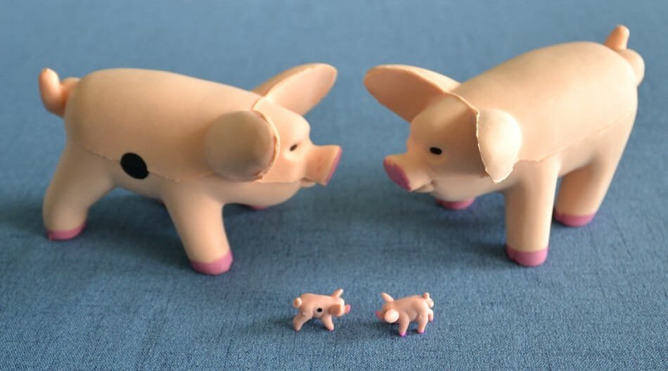 Best boardgames: Pass the Pigs