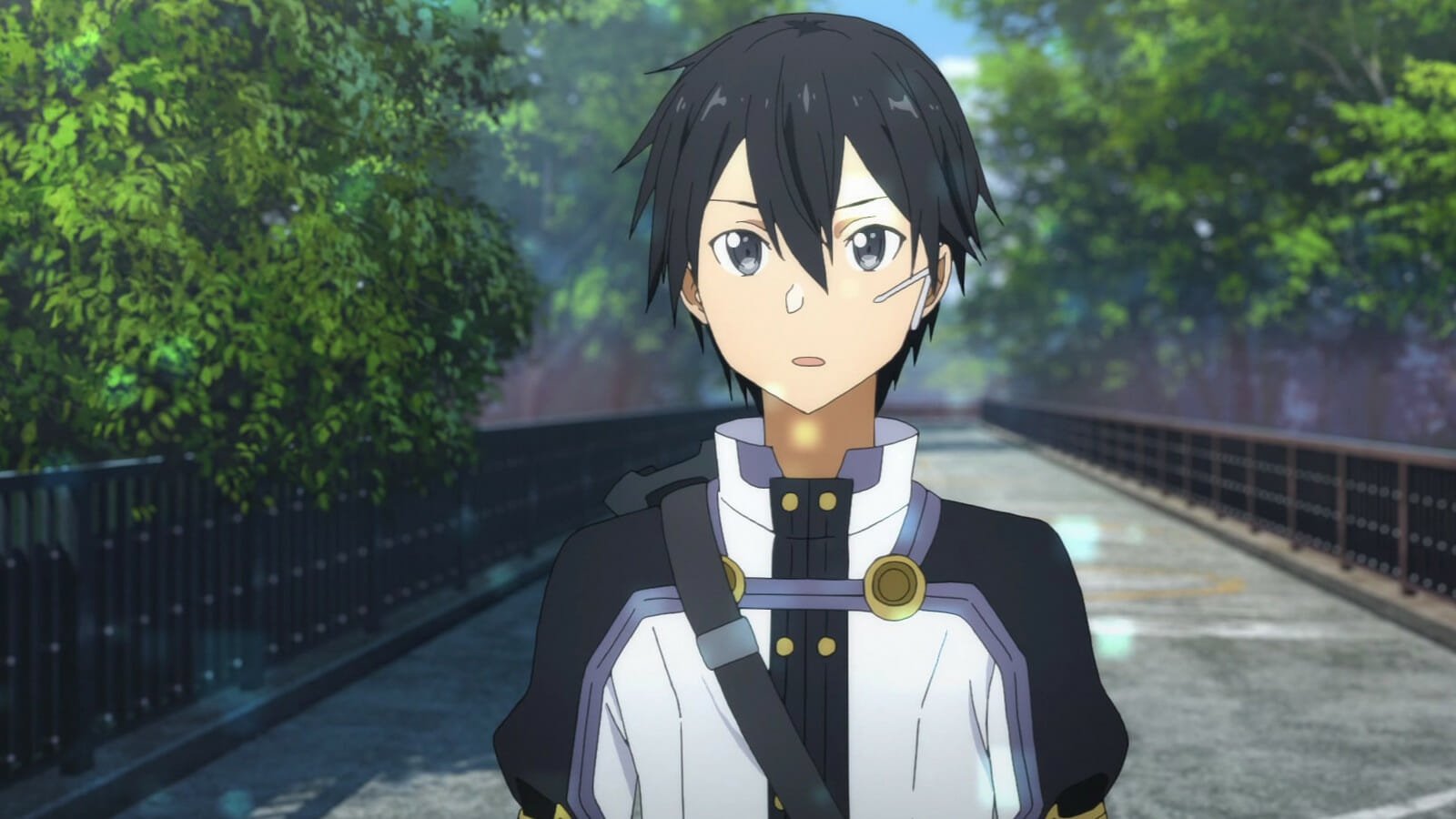 Old Anime: Sword Art Online The Movie: Ordinal Scale