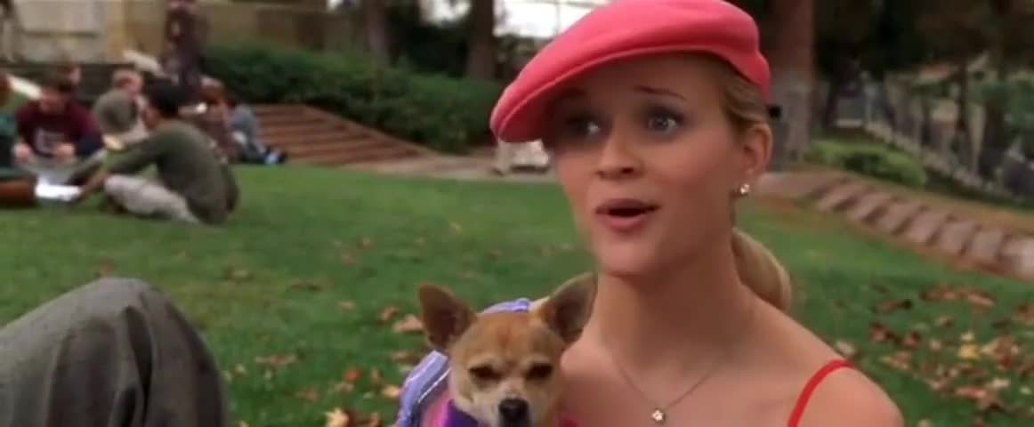 “Whoever said orange is the new pink was seriously disturbed.” - Legally Blonde (2001)