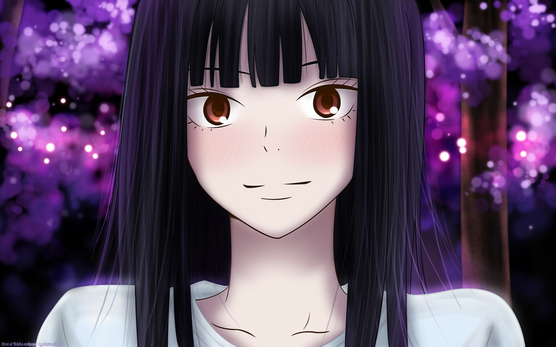 Kimi ni Todoke