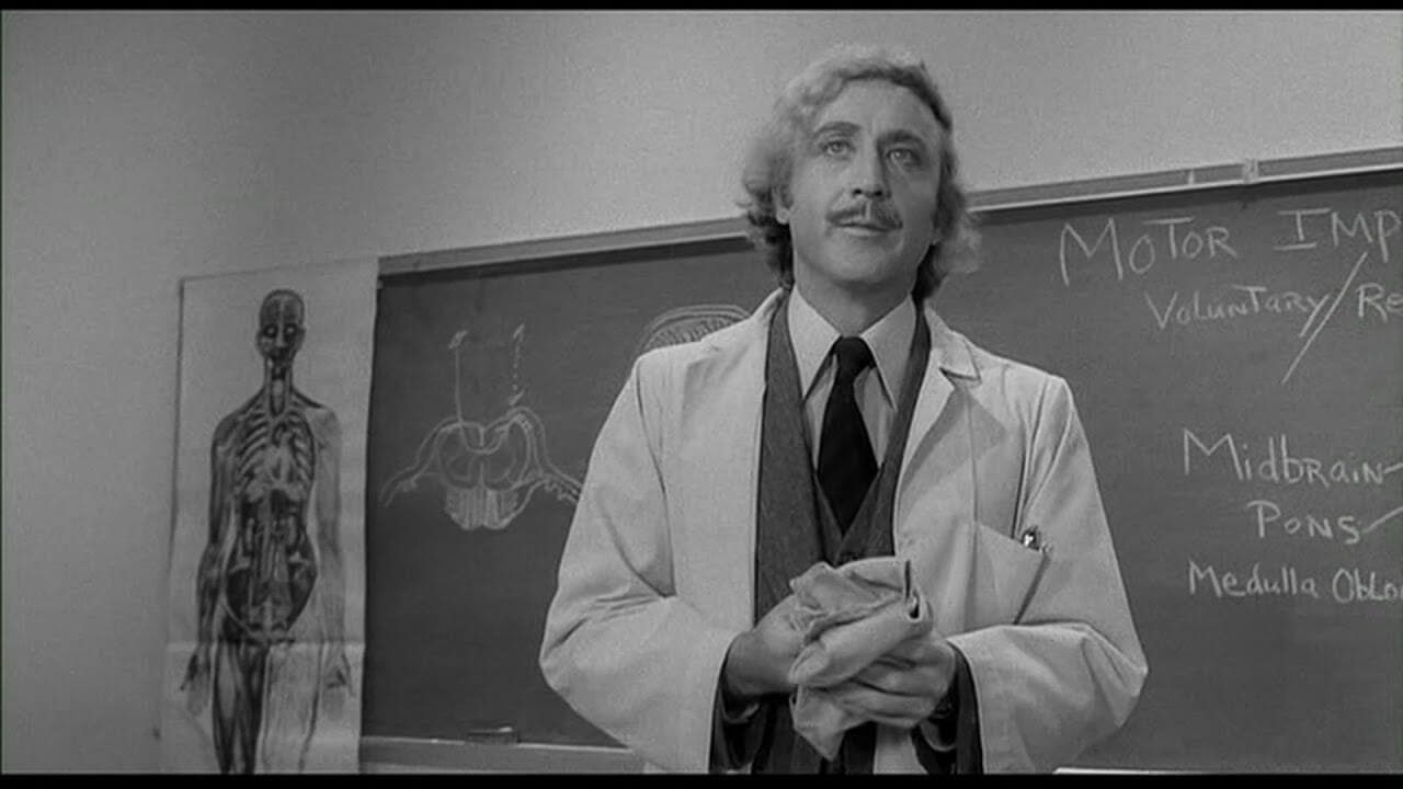 best young frankenstein quotes