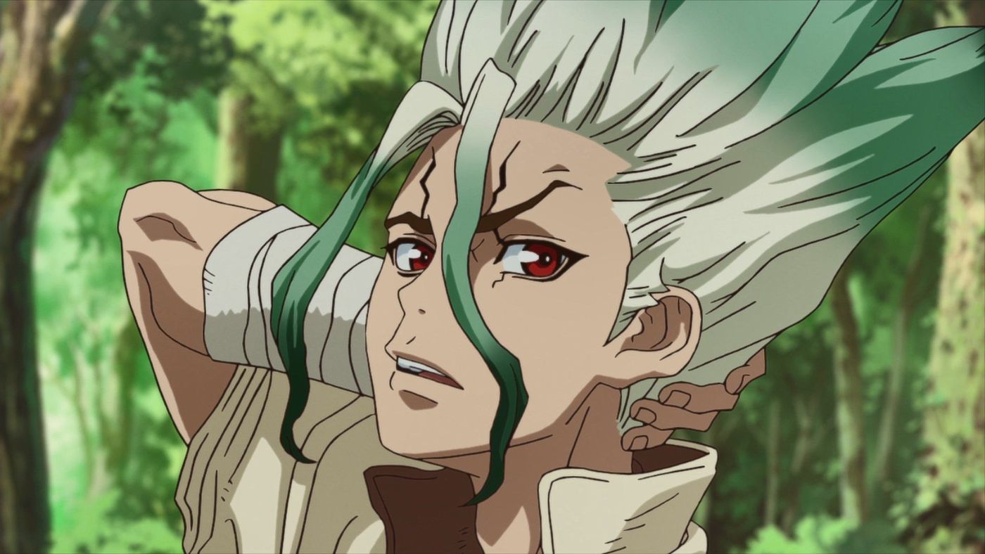 Dr. Stone