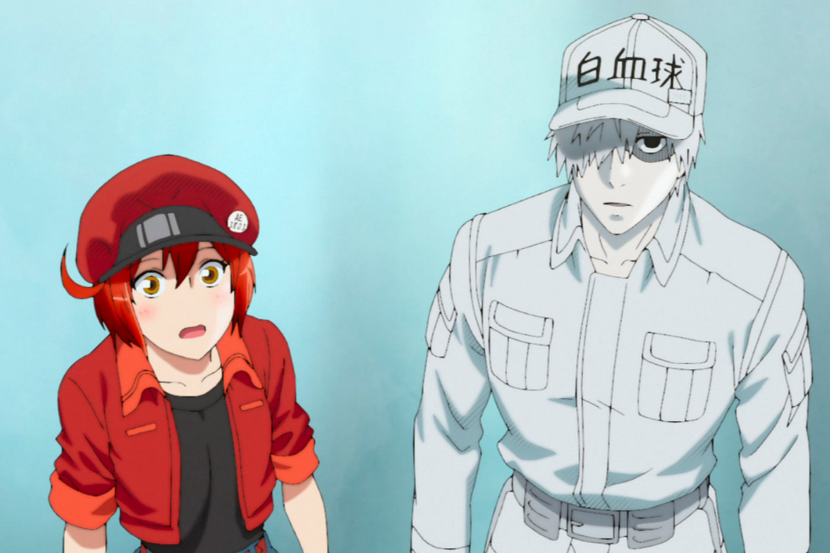 Cells At Work!